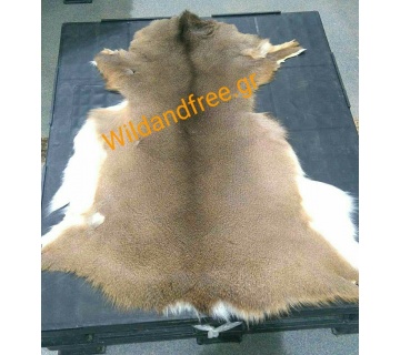 post2